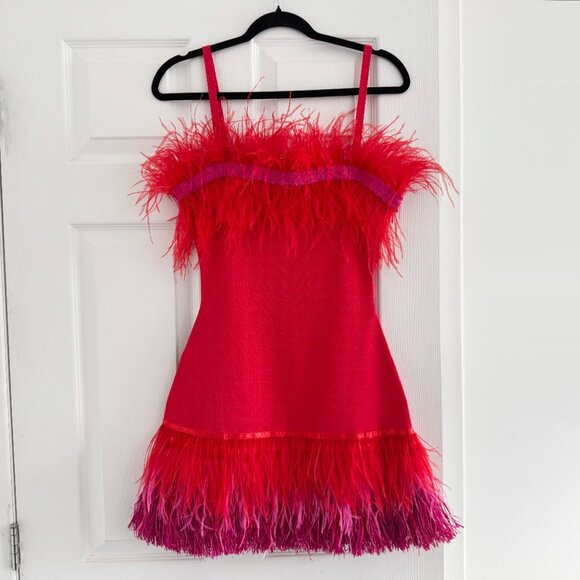 STAUD Etta Feather And Raffia-trimmed Crochet-knit Mini Dress In Blood Orange, s - Picture 4 of 12